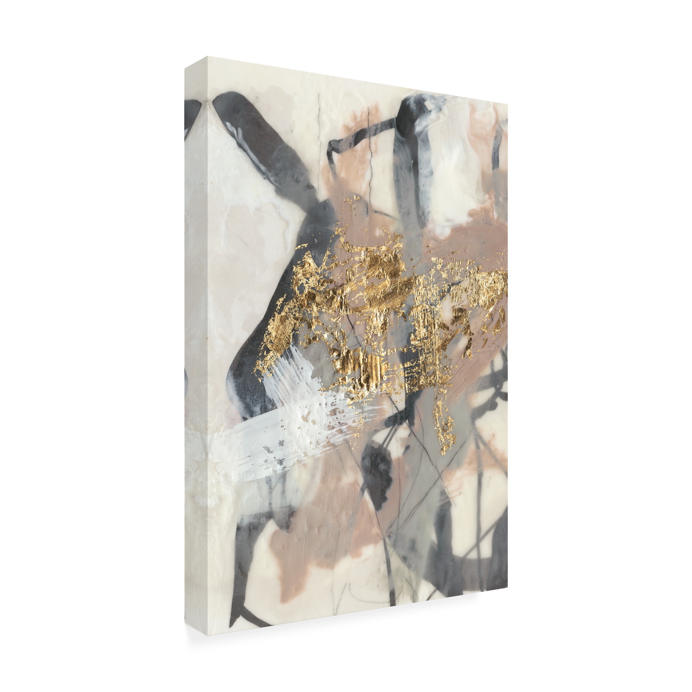 Trademark Fine Art Jennifer Goldberger Golden Blush I Canvas Wall Art - 16x24