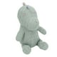 thumbnail image 4 of Muñeco De Peluche De Dinosaurio, Juguete De Peluche De Dinosaurio Con Forma De Dinosaurio Verde Para El Hogar Para La Habitación De Los Niños Fyydes Soft Stuffed Toy, 4 of 8