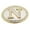 Gold, variant on Initial "N" Letter Belt Buckle Alphabet Monogram Multiple Cowgirl Western rodeo