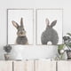 thumbnail image 4 of Rabbit Rabbit Tail Wall Art Picture Woodland Animals Canvas - Poster Nursery, 4 of 5