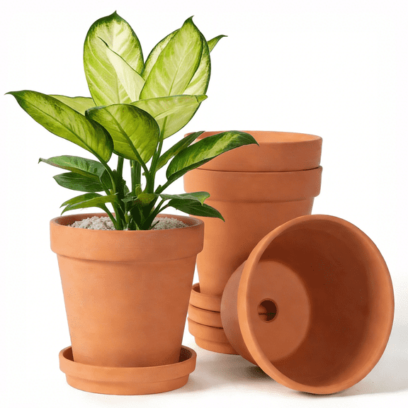 BAODELI Terracotta & Clay Pots for Plants with Saucer, 6 inch Medium Terra Cotta Plant Pots with Drainage Hole, Flowerpot with Tray, Terracotta Pot for Indoor Outdoor Plant - Pack of 4 Planters