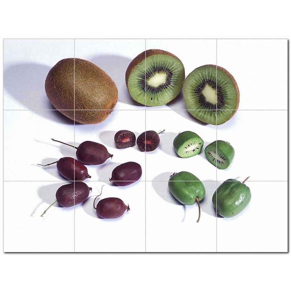 Fruits Vegetables Ceramic Tile Mural Kitchen Backsplash Bathroom Shower