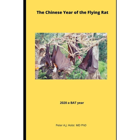 The Chinese Year of the Flying Rat (Paperback)