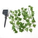 thumbnail image 3 of Guirnalda de luces solares para exteriores de 10 m con 100 LED, guirnalda de luces de hiedra artificial para jardín, patio, hogar, celebraciones al aire libre y decoración de bodas., 3 of 5