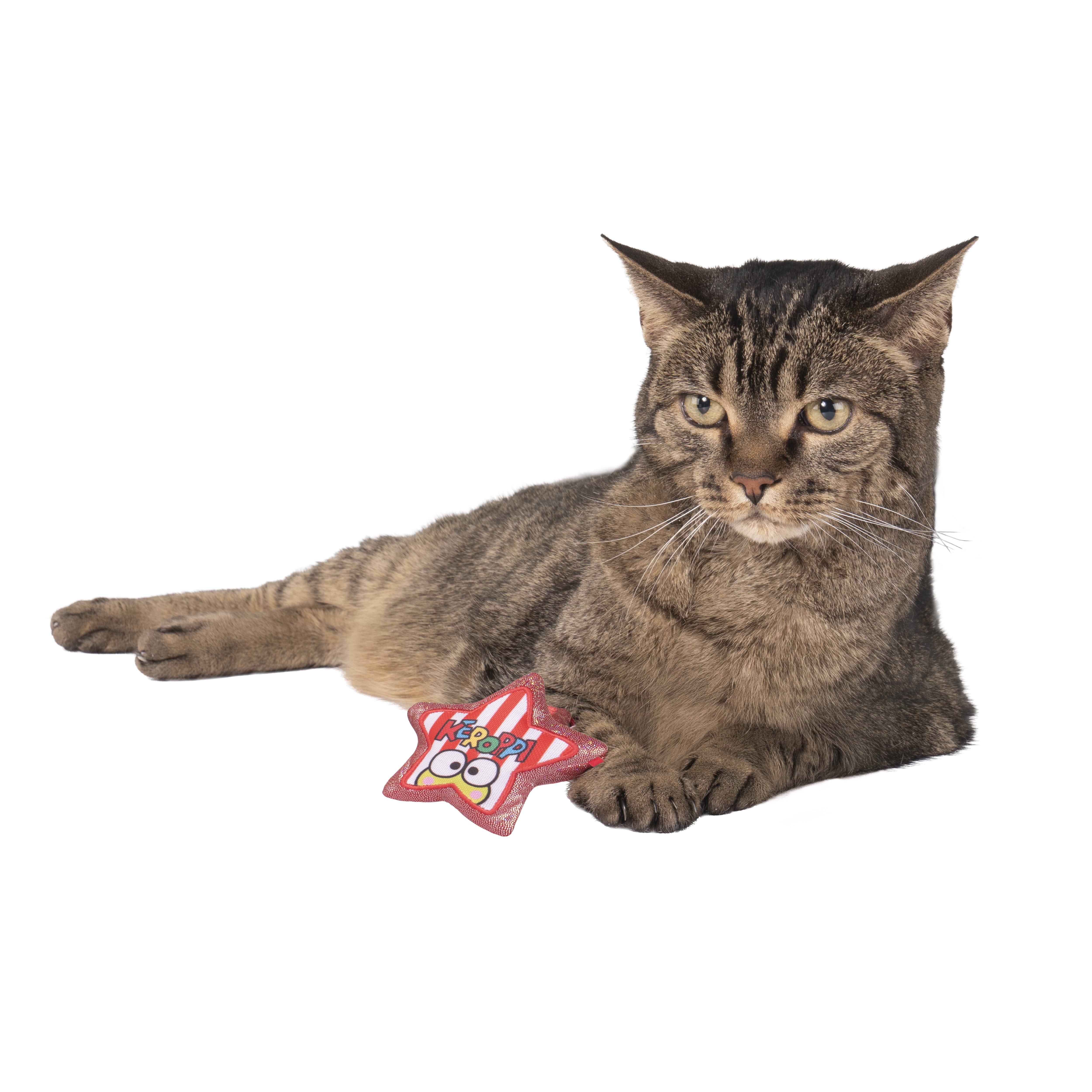 Hello Kitty and Friends Keroppi Cat Plushie - 3-Inch Cat Plushie with Printed Design and Catnip