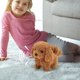 thumbnail image 1 of Milow - Mi cachorro robot realista. Perro robot que camina y ladra como un cachorro de verdad. Regalo ideal para hombres y mujeres., 1 of 7