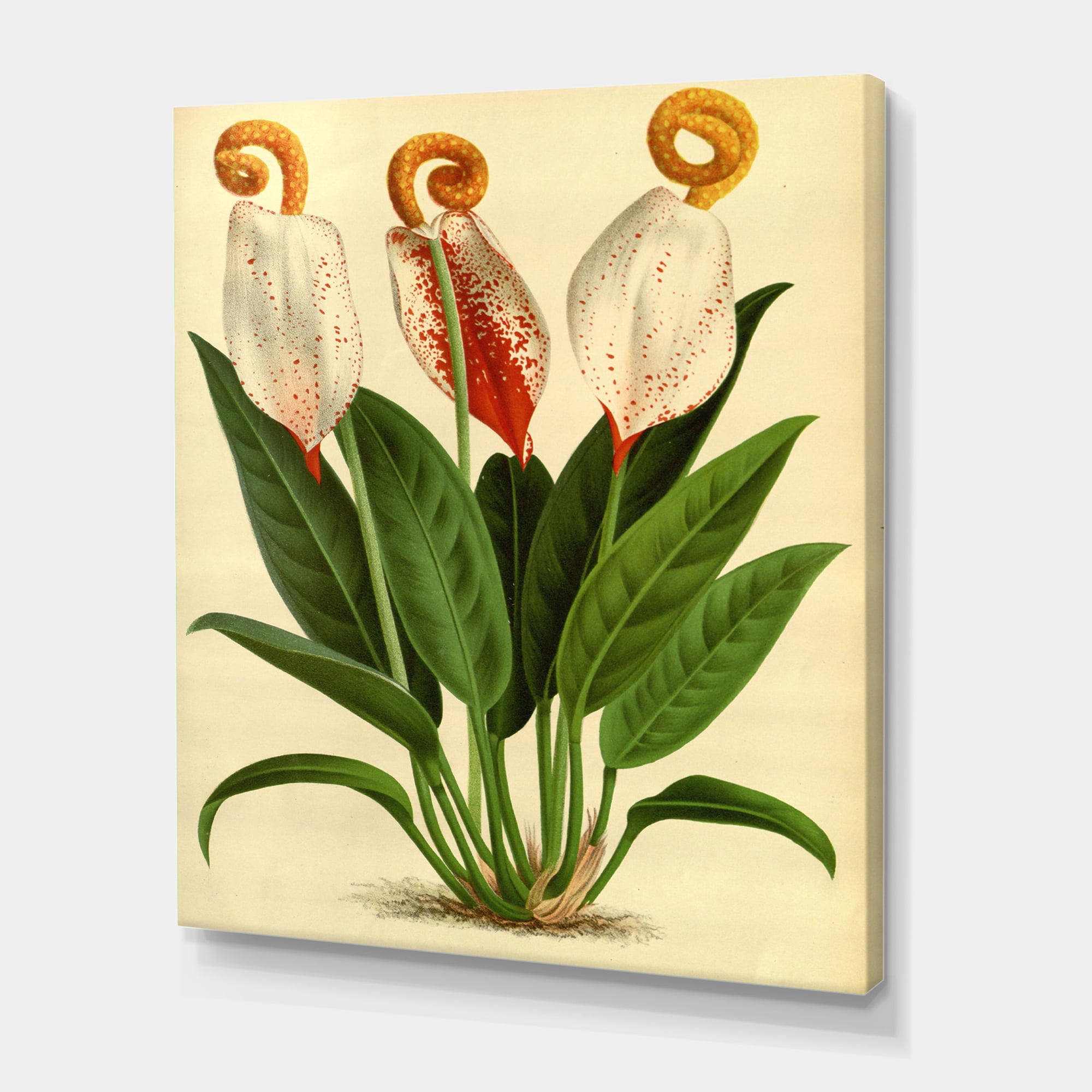 Designart ' Retro Wildflowers ' Farmhouse Canvas Wall Art Print