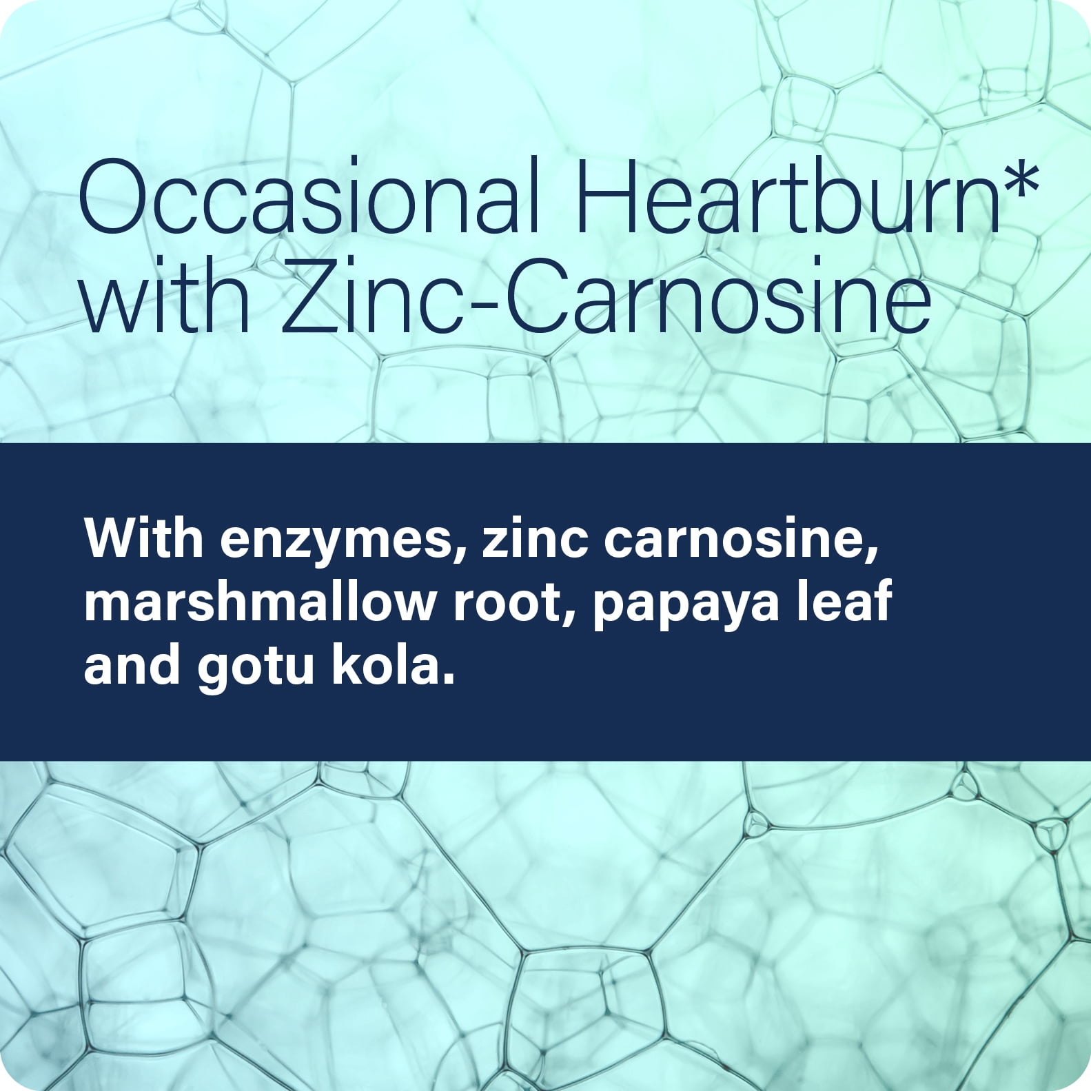 Enzyme Science Acid Calm with Zinc Carnosine Digestive Support for Occasional Heartburn, 90 Capsules