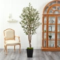 thumbnail image 3 of Nearly Natural 6.5' Olive Artificial Tree in Black Metal Planter, 3 of 4