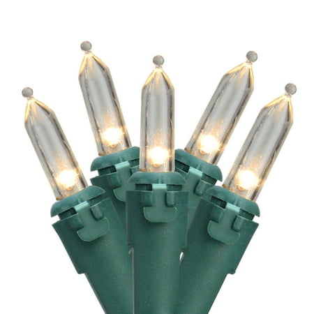 100 Led Indoor Outdoor Mini Christmas Lights