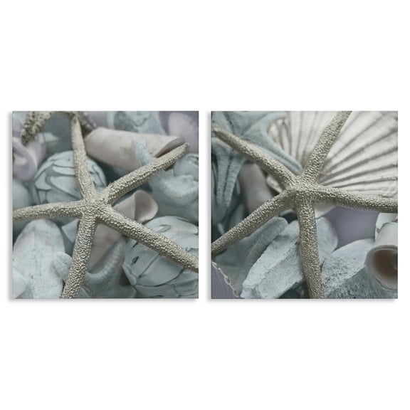 Stupell Industries Dry Distressed Starfish Nautical & Beach Photography Wrapped Canvas Art Print Wall Art, 17 x 17, Set of 2