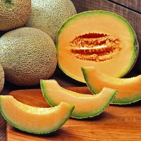 HJADGG 20 Graines Cantaloup Délicieux 51 Melon Variété Patrimoniale Graines (16)