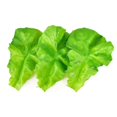 thumbnail image 1 of 3pcs Fake Lettuce Leaves Artificial Vegetables Lettuces Simulation Plastic Lifelike For House Kitchen Party Pub Decoration Ornament, 1 of 5