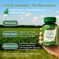 thumbnail image 6 of Oil of Oregano Softgels, Oil of Oregano with Black Seed Oil, Immune and Antioxidant Support, High Potency Carvacrol, Non-GMO, Gluten Free, 150 Softgels, 6 of 9