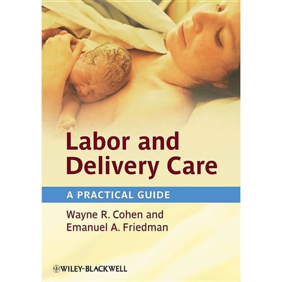 Labor and Delivery Care: A Practical Guide, (Hardcover)