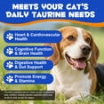 thumbnail image 2 of Oimmal Taurine Powder for Dogs, 7.05 oz (200 g), Essential Amino Acid Supplement, Supports Normal Heart & Vision Function, Maintains Daily Vitality, 99.9% Pure Taurine Powder, 2 of 10