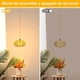 thumbnail image 4 of Lámparas Colgante de Ratán, Luces Colgantes con Cable de Enchufe 4.5M Cordón de Cuerda de Cáñamo, Lamparas Colgantes de Interior para Dormitorio Sala de Estar Boho (Bombilla Incluida) (Enchufe), 4 of 8