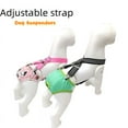 Pet strap adjustable pet physiological pants diaper fixed clip female