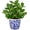 Small Size-blue and White Pot, variant on Artificial ZZ Plant in Ceramic Pot 17" Faux Potted Zamioculcas Silk Plant for Home Table Decor Bedroom Aesthetic