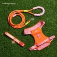thumbnail image 4 of Oodles Adjusable Dog Walking Harness with Handle, Red, Medium, 4 of 12