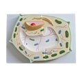 thumbnail image 1 of Isaac Technologies IC-B10305 Plant Cell Model of Dicotyledon, 1 of 1