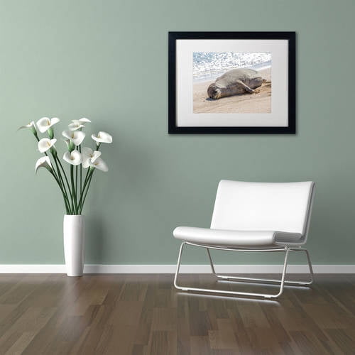 Hawaiian Monk Seal' Canvas Art by Pierre Leclerc, White Matte, Black Frame