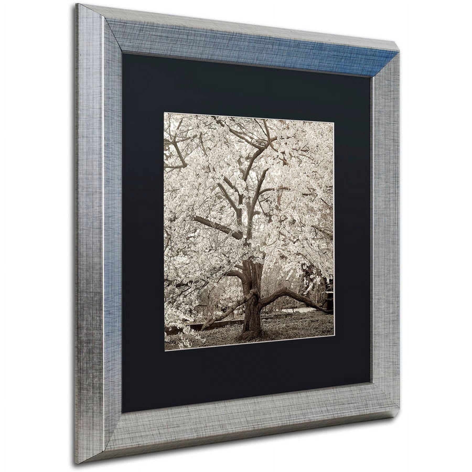 Trademark Fine Art "Hampton Magnolia II" Canvas Art by Alan Blaustein, Black Matte, Silver Frame