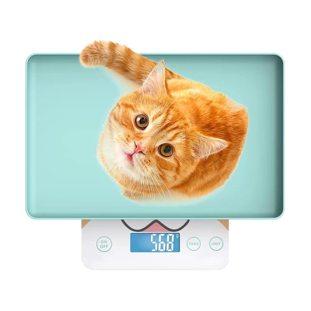 Báscula digital para mascotas MINDPET-MED de 15 kg, alta precisión, azul