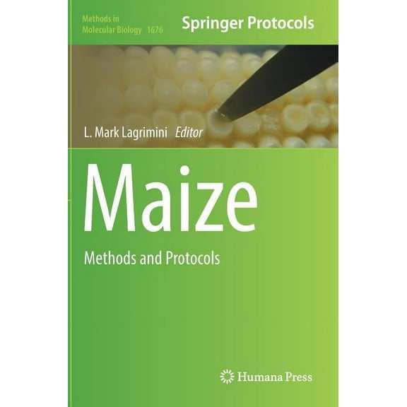 Methods in Molecular Biology Maize: Methods and Protocols, Book 1676, (Hardcover)