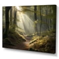 thumbnail image 2 of Designart "Light Streams Through Forest III" Landscape Forest Wall Art Print, 2 of 5