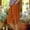 Orange, variant on Checkered Shorts for Women Cotton and Linen with Pockets Color Block Straight Leg Shorts Elastic Waist Side Split Shorts Comfortable Loose Breathable Fashion Shorts Holiday Picnic Party S