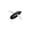 Black, variant on Topwater Fishing Lure 6 5g Soft Bait with Wing Design Floating Surface Lure for Snakehead Bass and Predatory Freshwater Fish