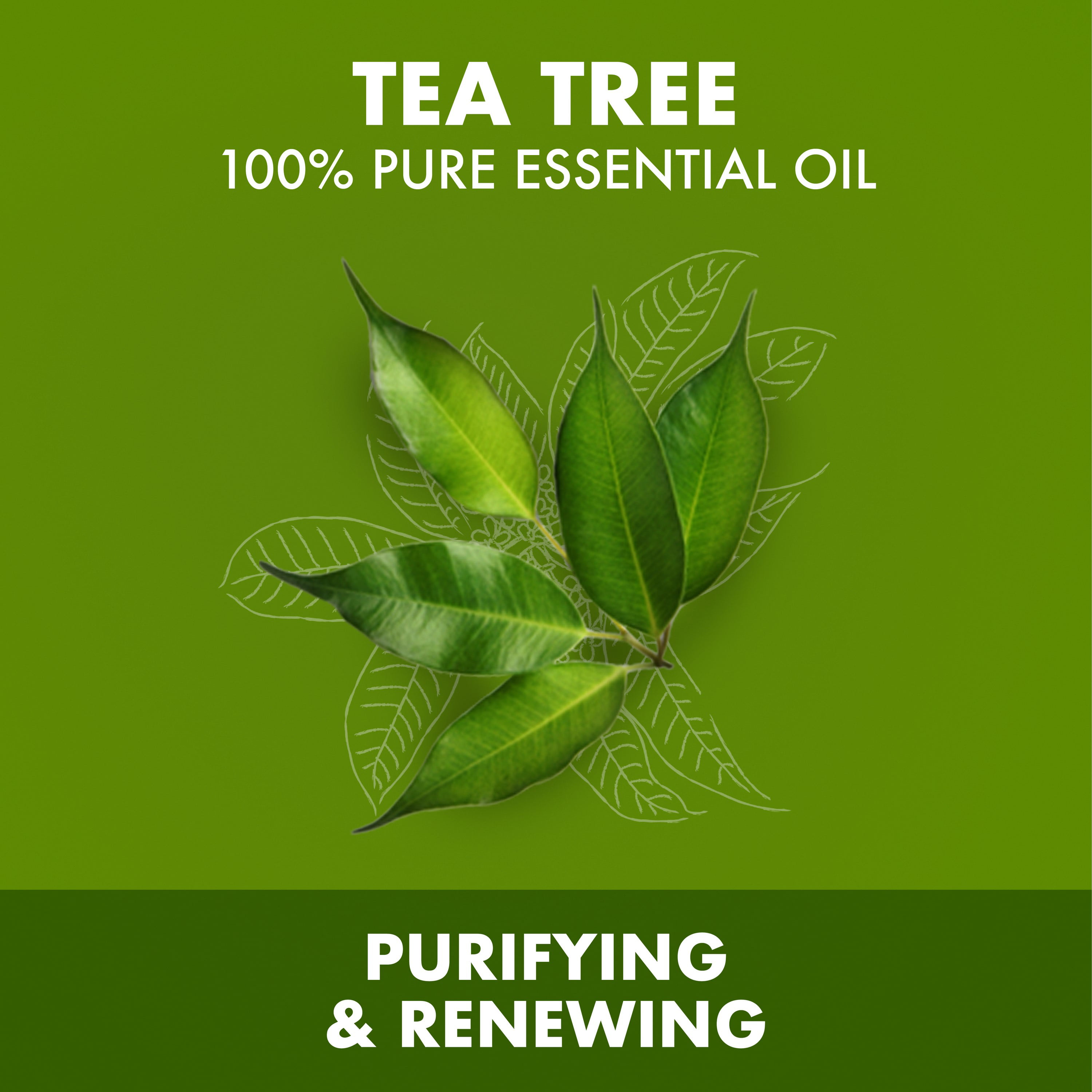 100% Pure Oil Tea Tree Oil + Premium Blend - SheaMoisture