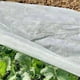 thumbnail image 3 of Tela Anticongelante Vegetal BRI Blanca 3m x 4m Aislamiento No Tejido, 3 of 5