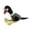 Black, variant on Plush Squeaky Bird Dog Toy, Soft Stuffed Pet Chew Toy for Teeth Cleaning and Interactive Indoor Playing, Blue