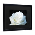 thumbnail image 2 of Trademark Fine Art 'White Rose II' Canvas Art by Kurt Shaffer, 2 of 4