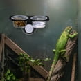thumbnail image 4 of FOLOYORI Comedero Para Reptiles Con Doble Taza Transparente Y Ventosa Para Fácil Limpieza Y Fijación, 4 of 7