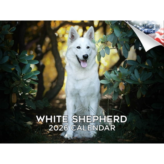 2025 2026 White Shepherd Calendar - Dog Breed Monthly Wall Calendar - 12 x 18 Open - Thick No-Bleed Paper - Giftable - Academic Teacher's Planner Calendar Organizing & Planning