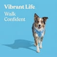 thumbnail image 2 of Vibrant Life Neoprene Comfort Control Dog Harness, Soft Blue, Medium, 2 of 9