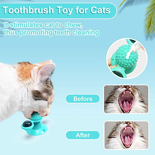 YUTANG Interactive Windmill Cat Toys with Catnip Cat Toys for Indoor Cats Funny Kitten Toys with LED Light Ball Suction Cup‖Cat Nip Toy for Cat chew Exercise