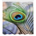 thumbnail image 3 of Ambesonne Peacock Shower Curtain, Trees Birds and Feather, 69"Wx75"L, Multicolor, 3 of 3