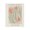 Amsterdam Tulip Market, variant on Stupell Industries Muted Dublin Flower Market Canvas Wall Art, design by Lucille Price