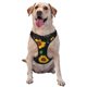 thumbnail image 1 of Balery Sunflowers3 Arnés para Perros Grandes Antitirones, Arnés con Correa para Gato, Arnés Tipo Chaleco para Perros Pequeños-Medium, 1 of 6