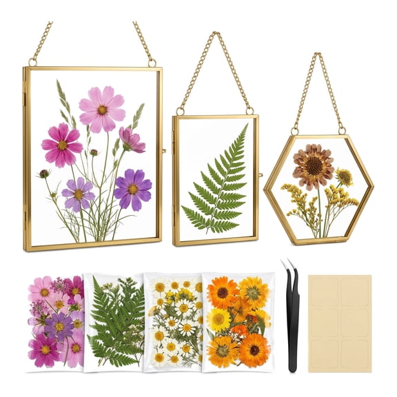 Pressed Flower Kit 3 Pack DIY Floating Glass Frame Craft Kit, Adult Crafts for Women DIY Kit for Home Decor, Keepsake and Gift Making