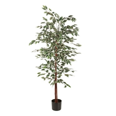 Pure Garden Ficus Artificial Tree - Realistic Faux Plant with Variegated Leaves and Natural Trunk - 5-Foot-Tall Topiary Decor for Indoor or Outdoor Use