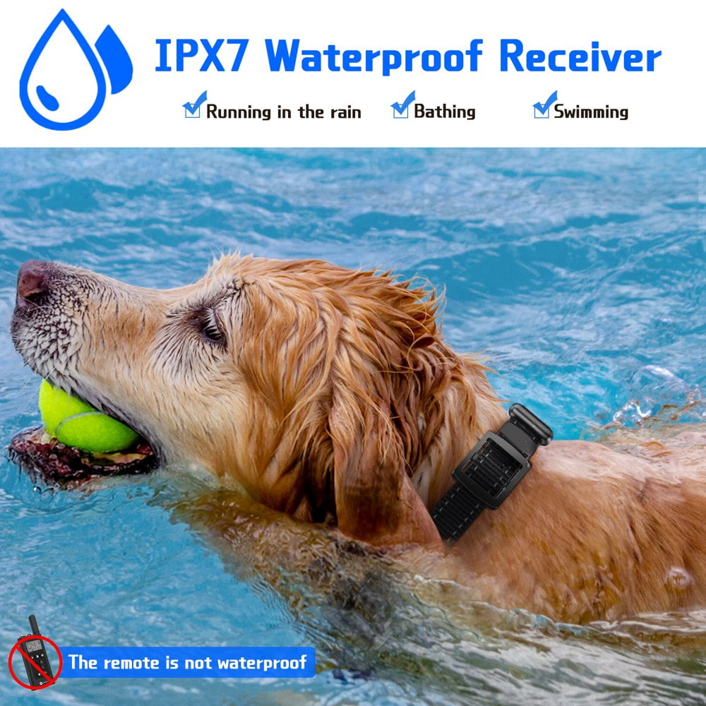 CHUANK Dog Training Collars Dog Shock Collars with 2 Receiver and 2 Collars Remote 2600feet 3 Training Modes Beep Vibration Shock IPX7 Waterproof LED Light USB Charging for 8 150lbs Pet Walmart
