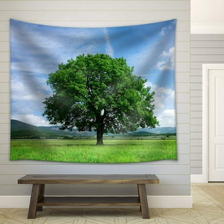wall26 - Tree on Green Field - Fabric Wall Tapestry Home Decor - 68x80 inches
