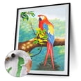 thumbnail image 3 of Cuadros Decorativos Kit de pintura al óleo de loro por números pintura acrílica DIY sobre lienzo (B1455) Tmvgtek embutido en tela, 3 of 9