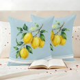 thumbnail image 3 of Outdoor Pillow Covers Watercolor Yellow Lemon Leaves Waterproof Pillow Cases 20x20 Set of 2, Summer Fruit on Light Blue Throw Pillow Cover Pillowcase for Patio Balcony Couch Garden, 3 of 9