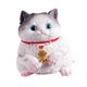 thumbnail image 5 of Lindo juguete antiestrés de gato, suave y relajante, ideal como decoración de mesa para niños y adultos. British cat, 5 of 9